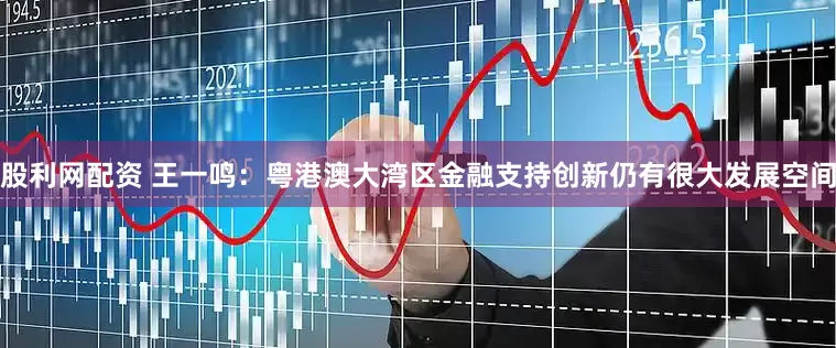 股利网配资 王一鸣：粤港澳大湾区金融支持创新仍有很大发展空间