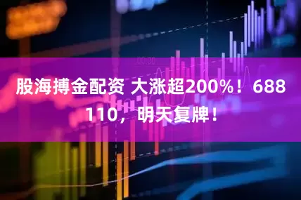 股海搏金配资 大涨超200%！688110，明天复牌！